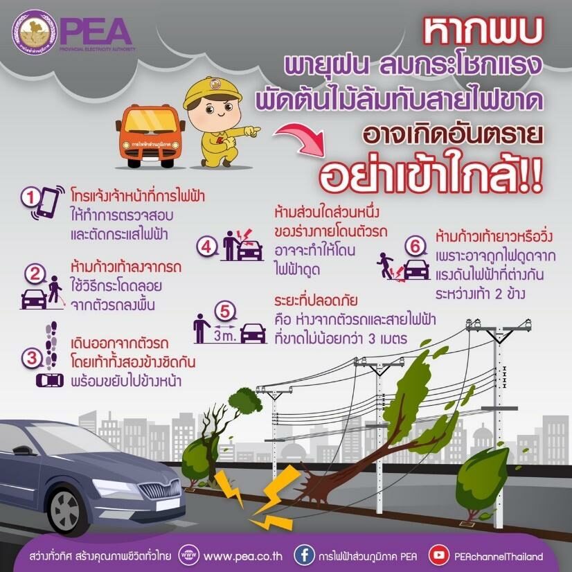 พายุฝน ลฝกระโชกแรง พัดต้นไม้ล้มทับสายไฟขาด อย่าเข้าใกล้